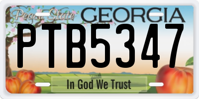 GA license plate PTB5347