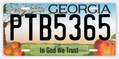 GA license plate PTB5365