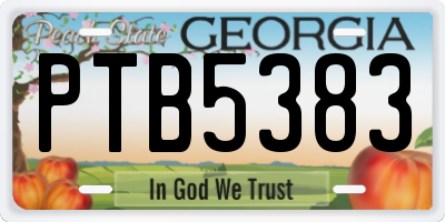 GA license plate PTB5383