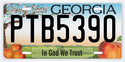 GA license plate PTB5390