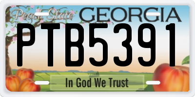 GA license plate PTB5391