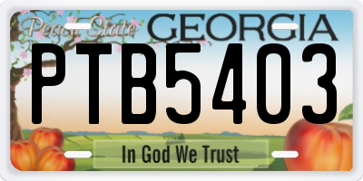 GA license plate PTB5403
