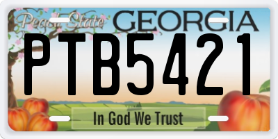 GA license plate PTB5421