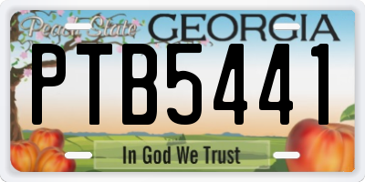 GA license plate PTB5441
