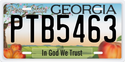 GA license plate PTB5463