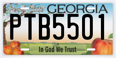 GA license plate PTB5501