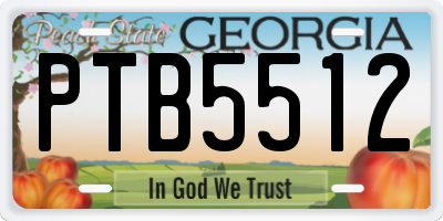 GA license plate PTB5512