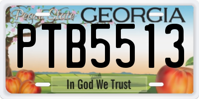 GA license plate PTB5513