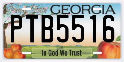 GA license plate PTB5516