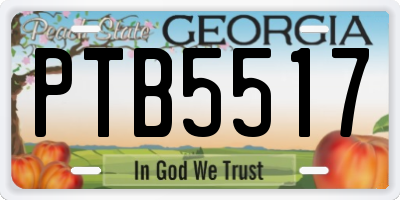 GA license plate PTB5517