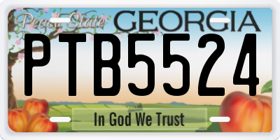 GA license plate PTB5524