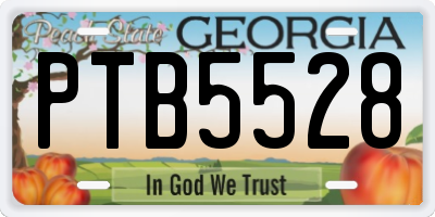 GA license plate PTB5528