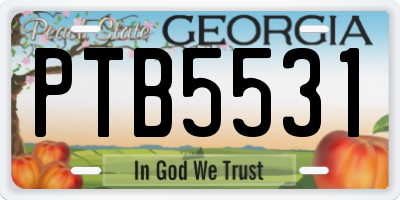GA license plate PTB5531
