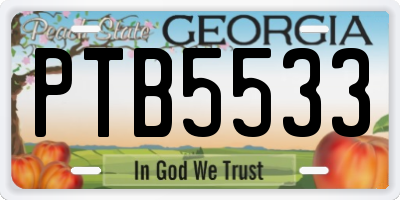 GA license plate PTB5533