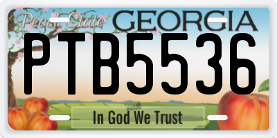 GA license plate PTB5536
