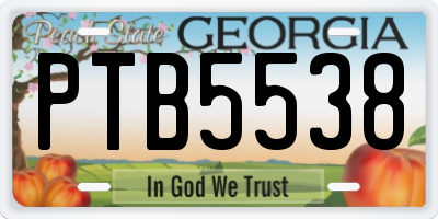 GA license plate PTB5538