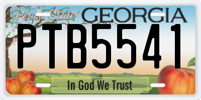 GA license plate PTB5541