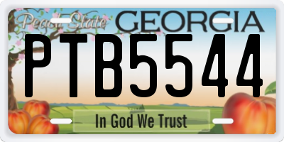 GA license plate PTB5544