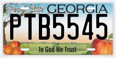 GA license plate PTB5545