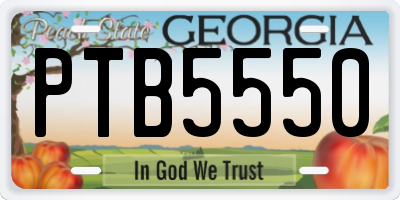 GA license plate PTB5550