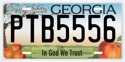 GA license plate PTB5556