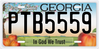 GA license plate PTB5559