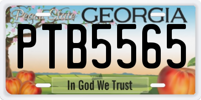 GA license plate PTB5565