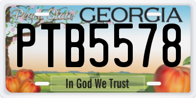 GA license plate PTB5578