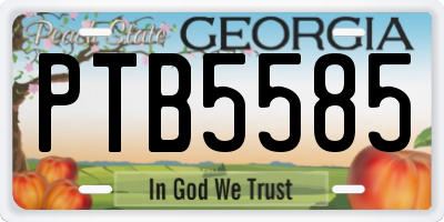 GA license plate PTB5585