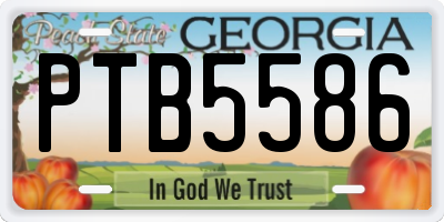 GA license plate PTB5586