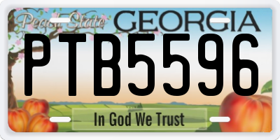 GA license plate PTB5596