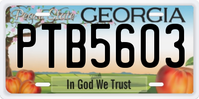 GA license plate PTB5603