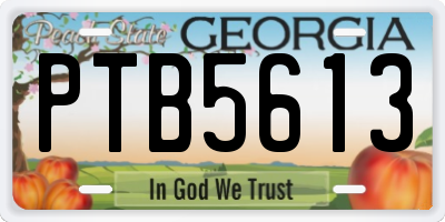 GA license plate PTB5613
