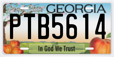 GA license plate PTB5614