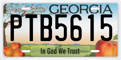 GA license plate PTB5615