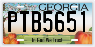 GA license plate PTB5651