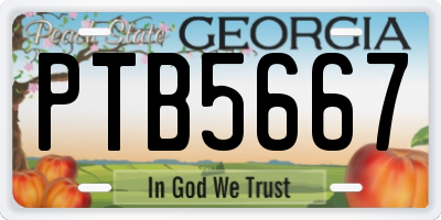 GA license plate PTB5667