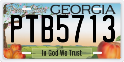 GA license plate PTB5713
