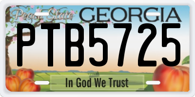 GA license plate PTB5725