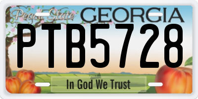 GA license plate PTB5728