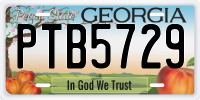 GA license plate PTB5729