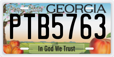 GA license plate PTB5763