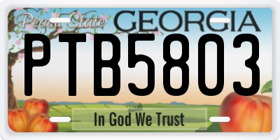 GA license plate PTB5803
