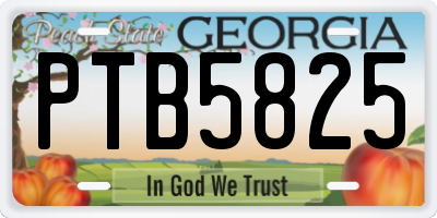 GA license plate PTB5825