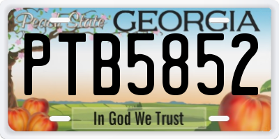 GA license plate PTB5852