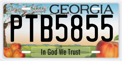 GA license plate PTB5855