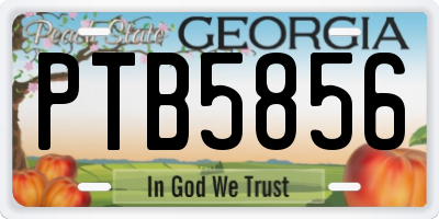 GA license plate PTB5856