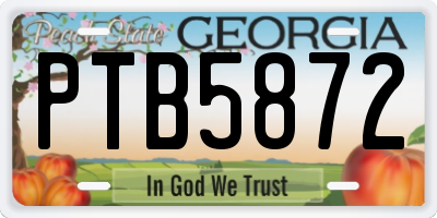 GA license plate PTB5872