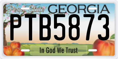 GA license plate PTB5873