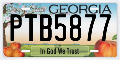 GA license plate PTB5877